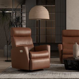 Divani Swivel Recliner