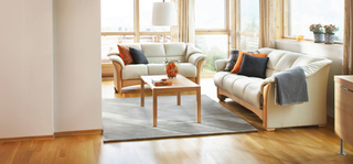 Stationary Sofas