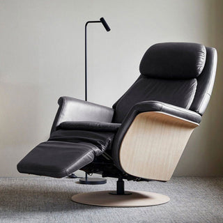 Sam Power Recliner