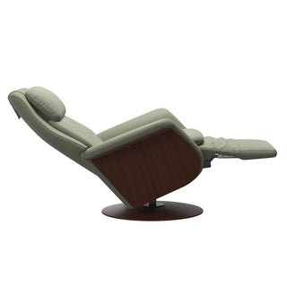 Sam Power Recliner
